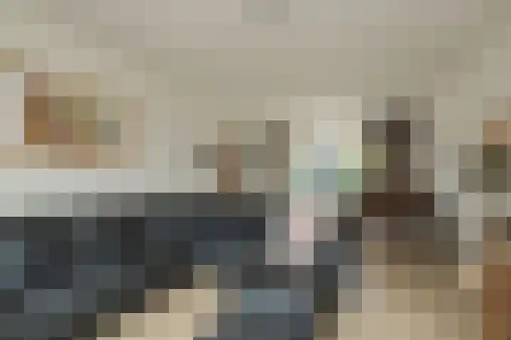 Kerpsdam 7 Warmond thumbnail 7