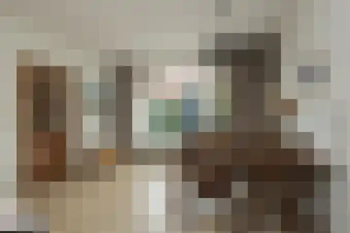 Kerpsdam 7 Warmond thumbnail 9