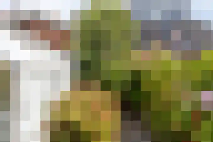 Kerpsdam 9 Warmond thumbnail 12