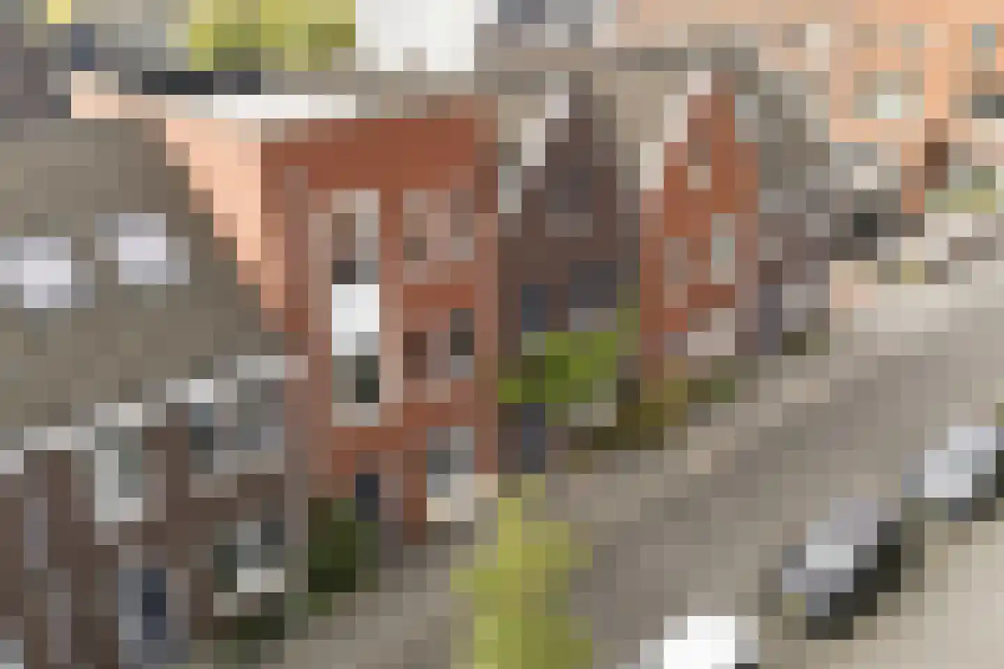 Kerrieweg 10 Utrecht thumbnail 48