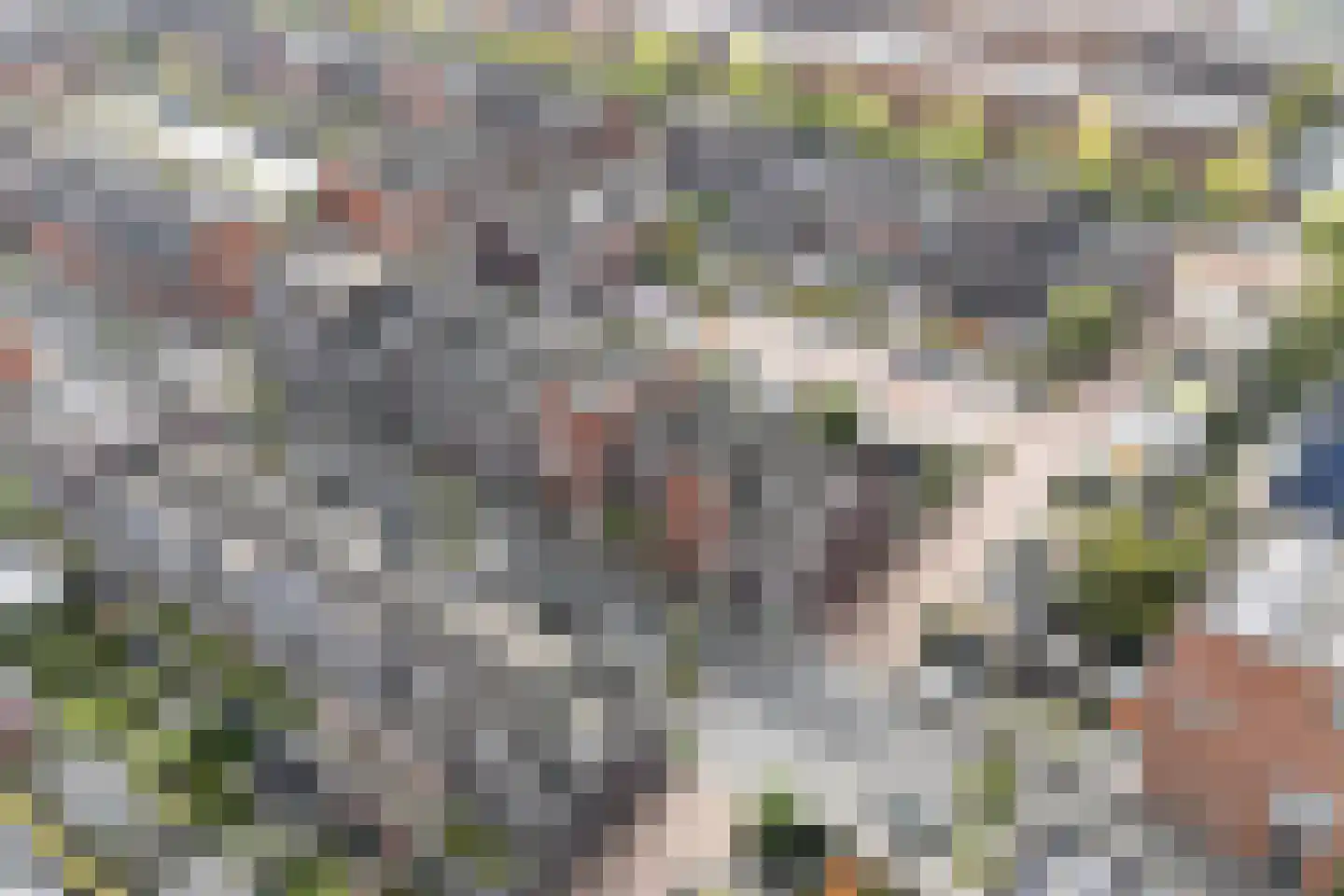 Kerrieweg 10 Utrecht thumbnail 62