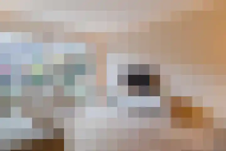 Kerrieweg 13 Utrecht thumbnail 11