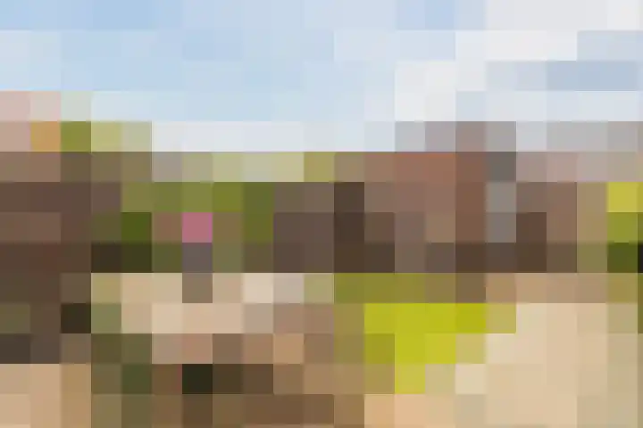 Kerrieweg 13 Utrecht thumbnail 13