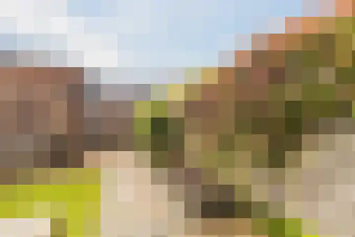 Kerrieweg 13 Utrecht thumbnail 14