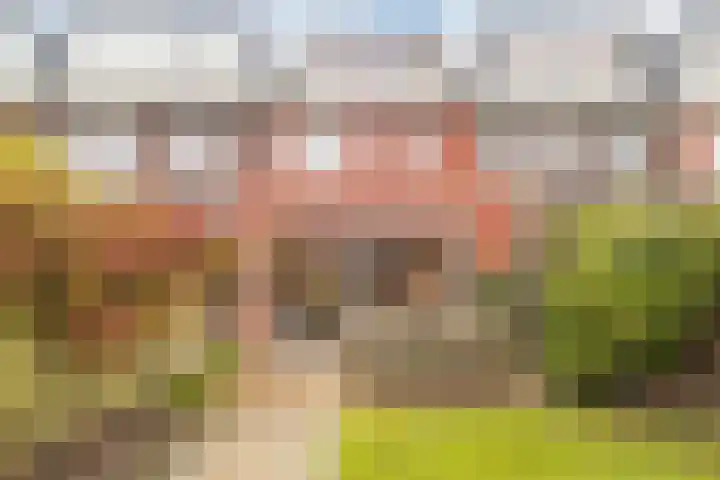 Kerrieweg 13 Utrecht thumbnail 17