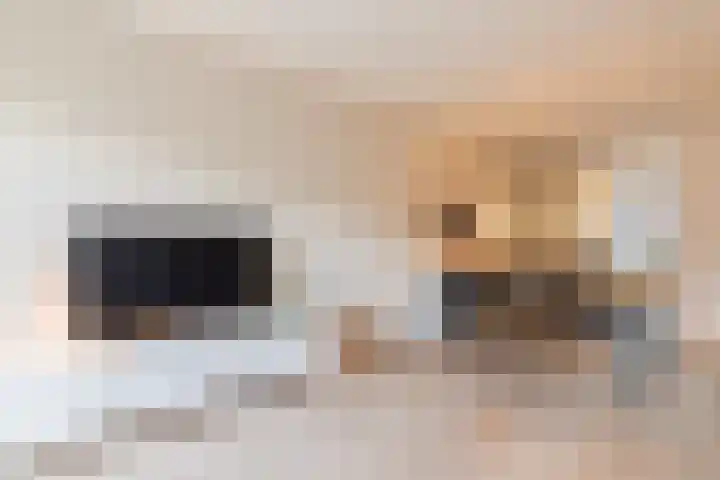 Kerrieweg 13 Utrecht thumbnail 20
