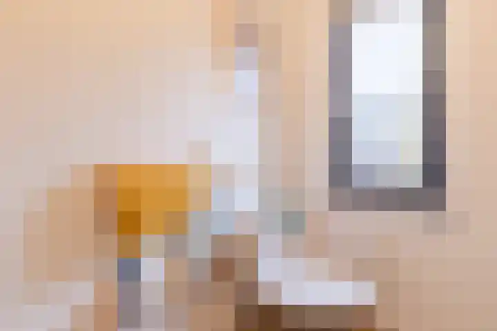 Kerrieweg 13 Utrecht thumbnail 44