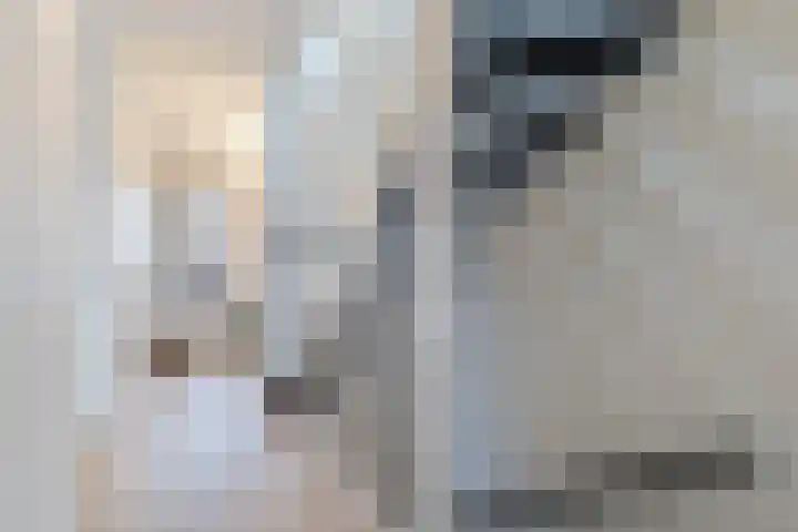 Kerrieweg 13 Utrecht thumbnail 46