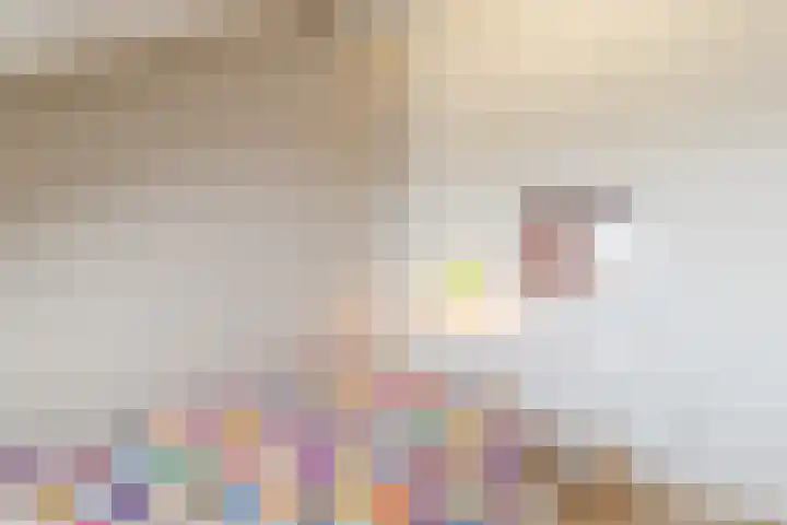 Kerrieweg 13 Utrecht thumbnail 49
