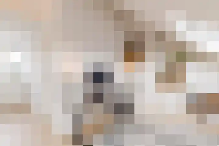 Kerrieweg 13 Utrecht thumbnail 51