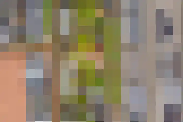 Kerrieweg 13 Utrecht thumbnail 64