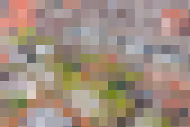Kerrieweg 13 Utrecht thumbnail 66