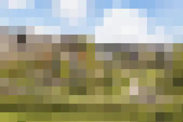 Kerrieweg 13 Utrecht thumbnail 69