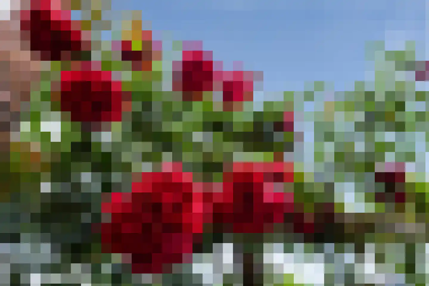 Kerrieweg 37 Utrecht thumbnail 12