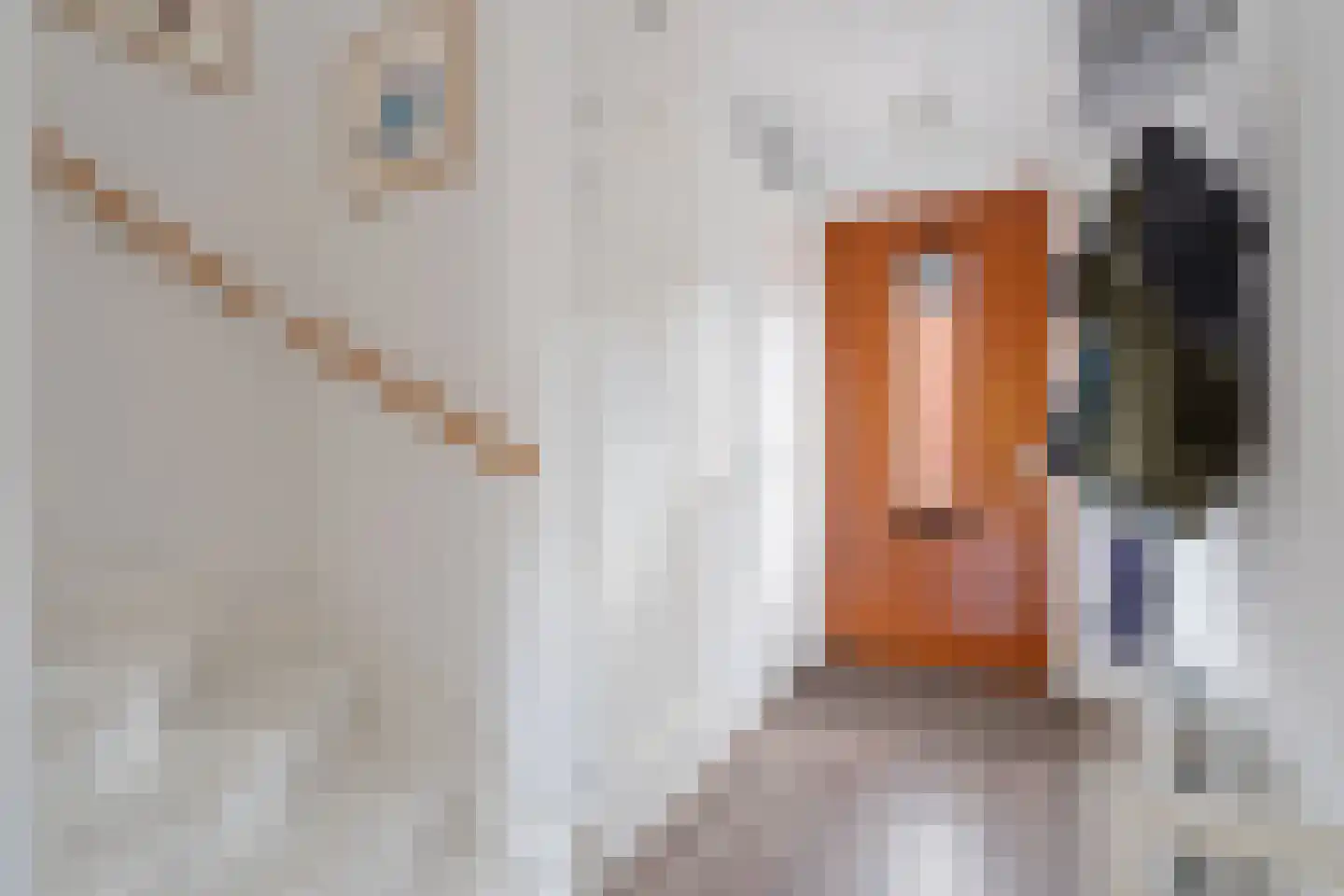 Kerrieweg 37 Utrecht thumbnail 21