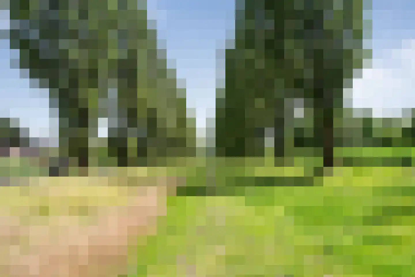 Kerrieweg 37 Utrecht thumbnail 38