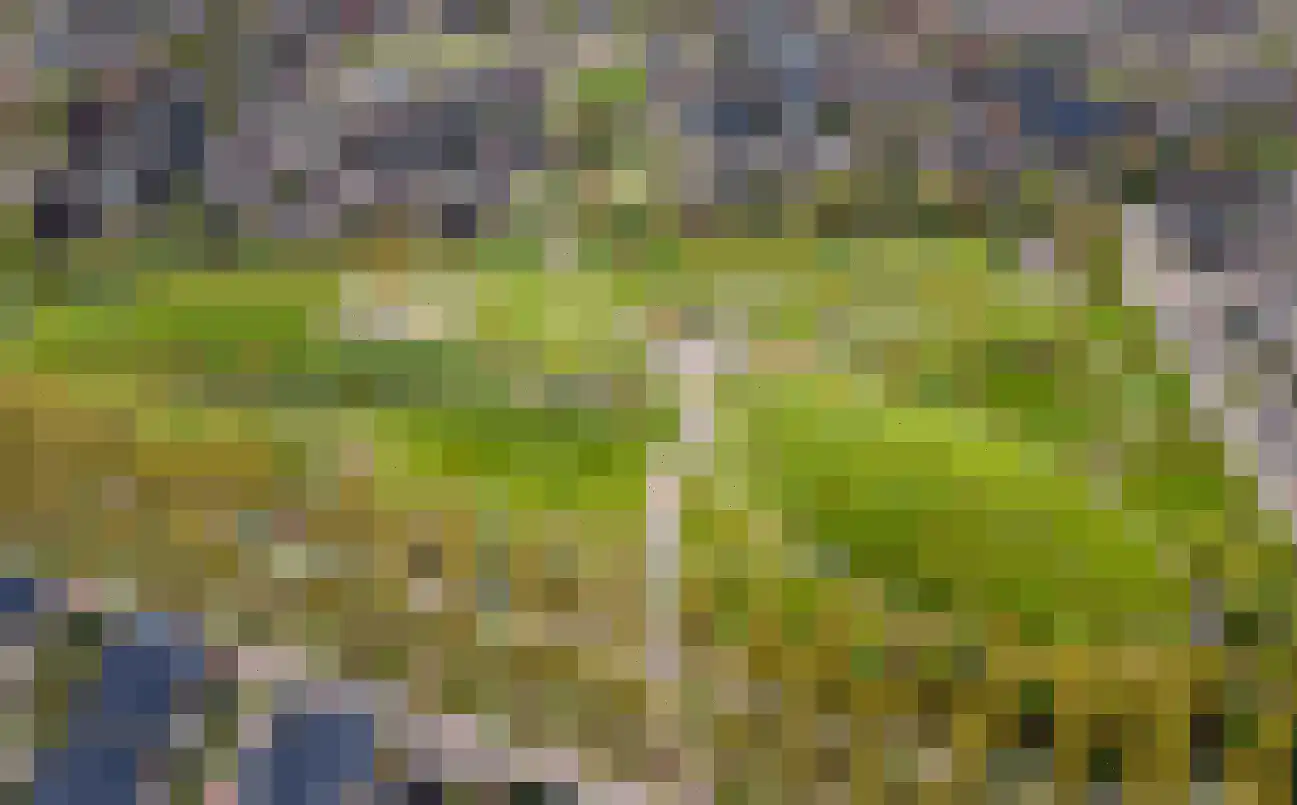 Kerrieweg 37 Utrecht thumbnail 40