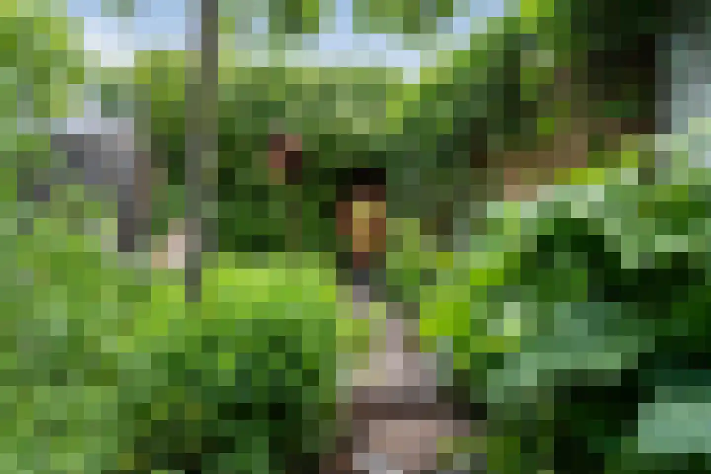 Kerrieweg 37 Utrecht thumbnail 8