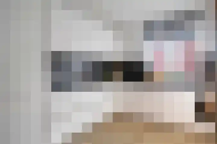 Kerrieweg 39 Utrecht thumbnail 16