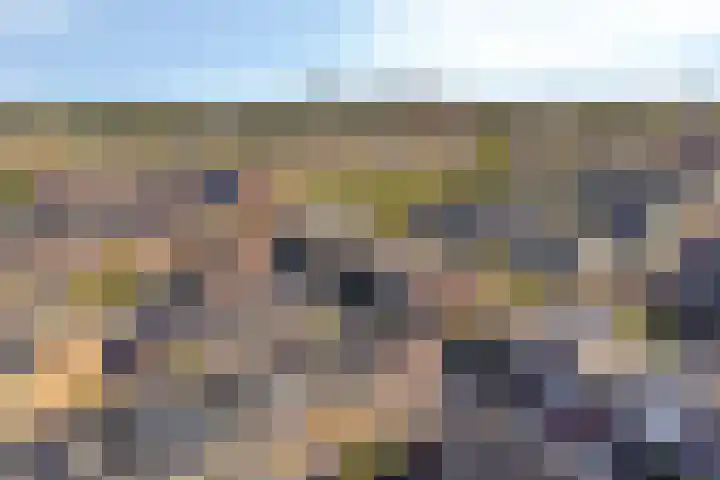 Kerrieweg 39 Utrecht thumbnail 47