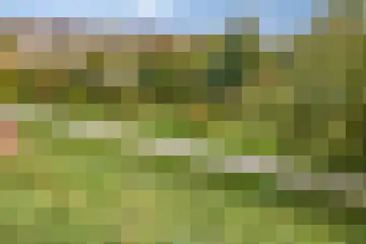 Kerrieweg 39 Utrecht thumbnail 50