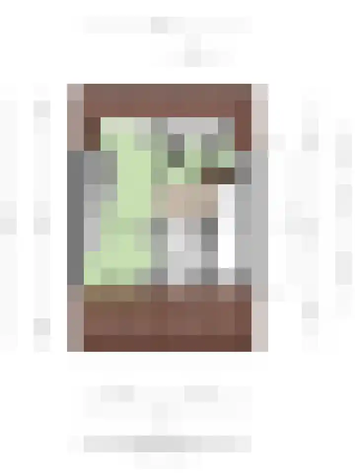 Kerrieweg 39 Utrecht thumbnail 57
