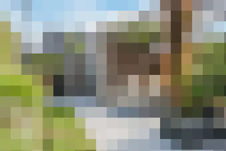 Kerrieweg 5 Utrecht thumbnail 12