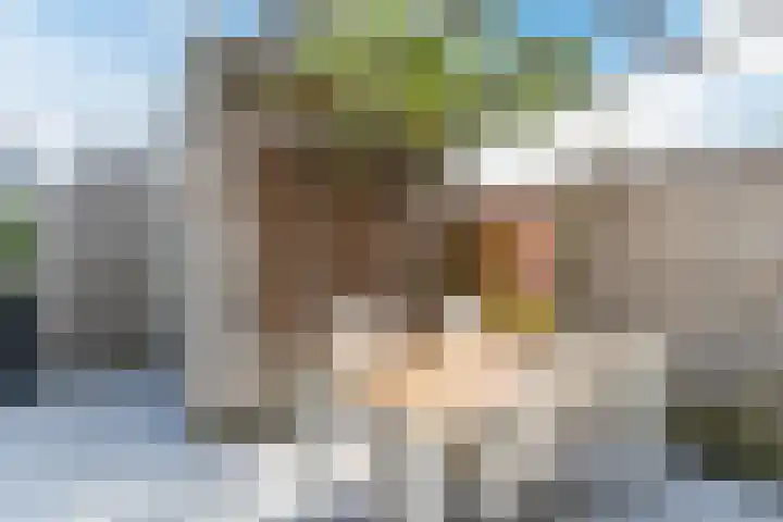 Kerrieweg 5 Utrecht thumbnail 14