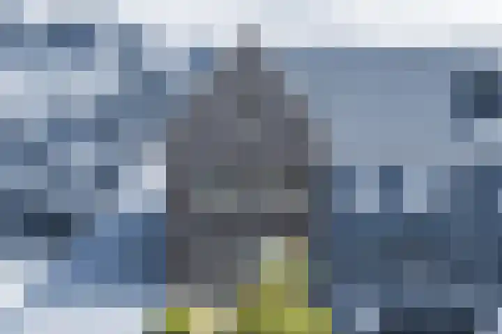 Kerrieweg 5 Utrecht thumbnail 4
