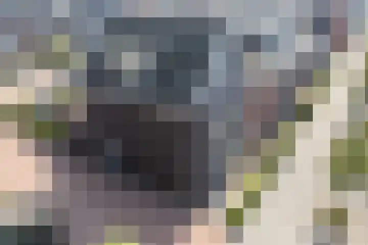 Kerrieweg 5 Utrecht thumbnail 61