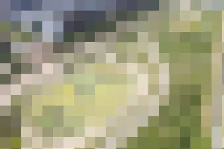Kerrieweg 5 Utrecht thumbnail 70