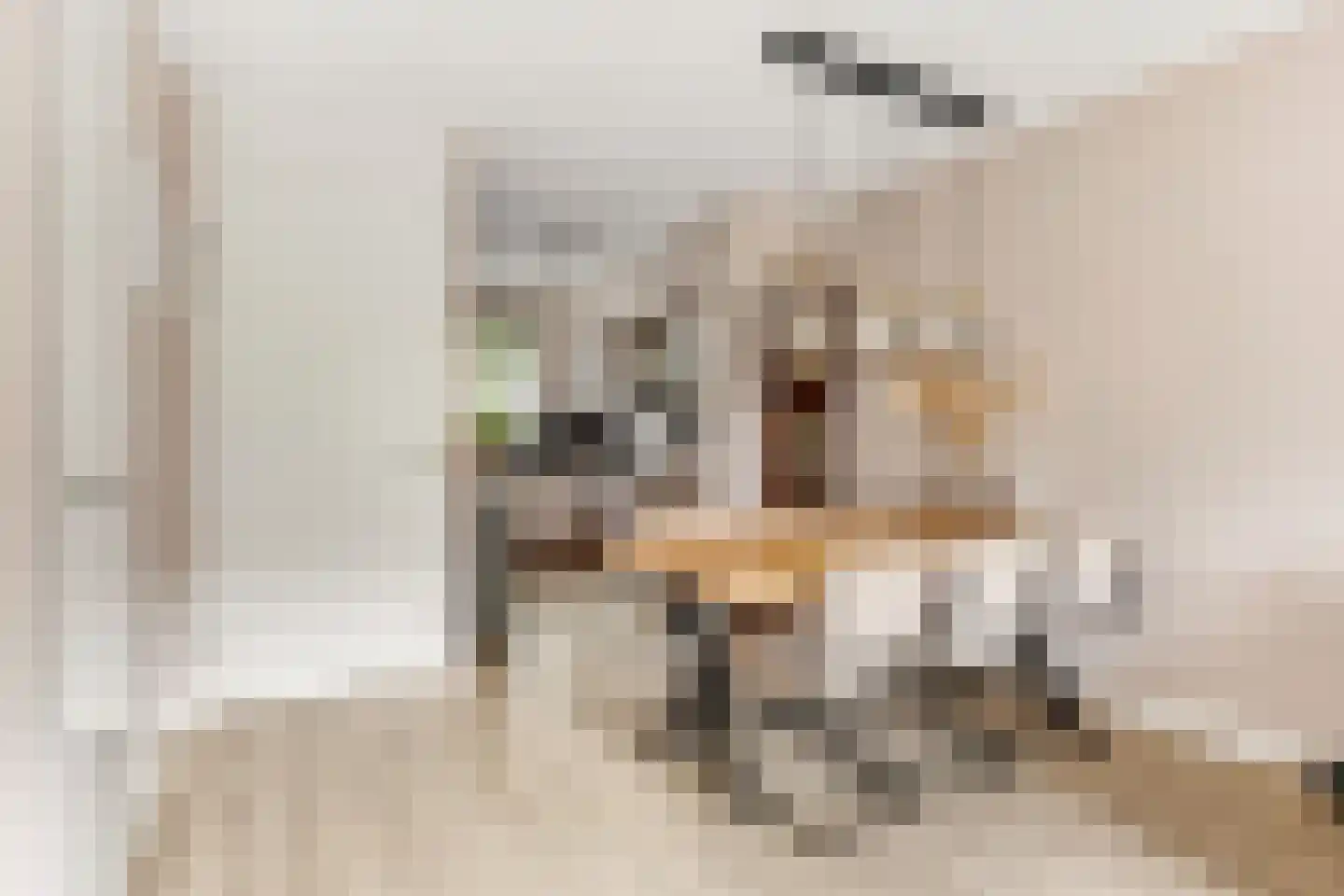 Kers 3 Nijkerk thumbnail 12