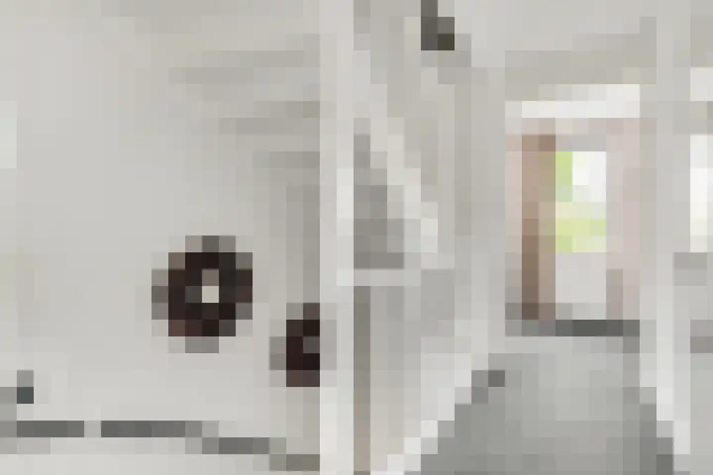 Kers 3 Nijkerk thumbnail 17