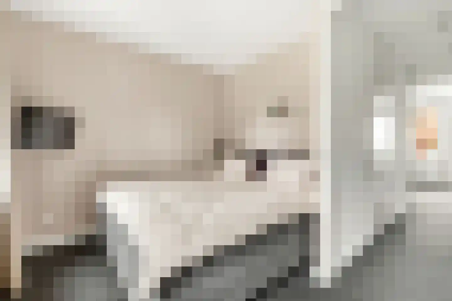 Kers 3 Nijkerk thumbnail 18