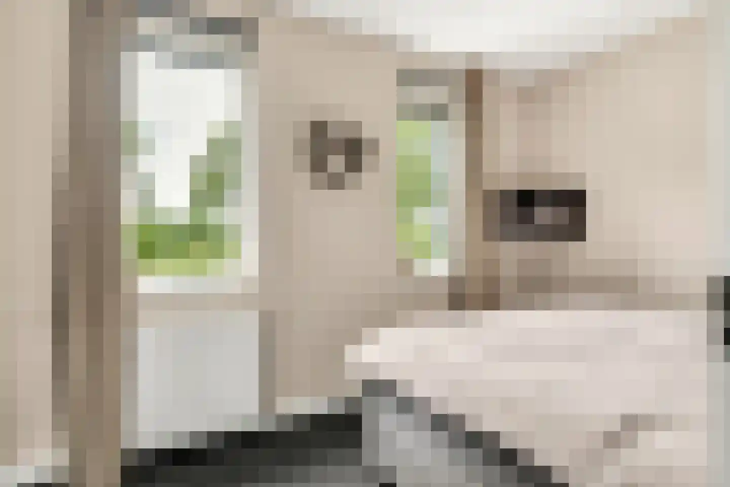 Kers 3 Nijkerk thumbnail 19