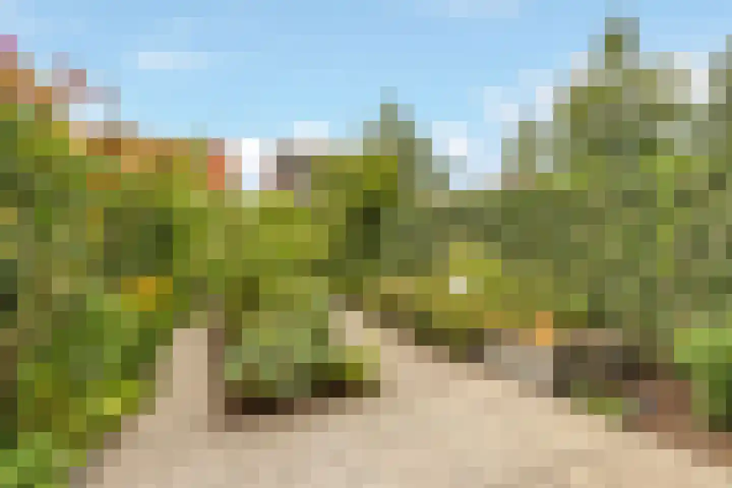 Kers 3 Nijkerk thumbnail 31