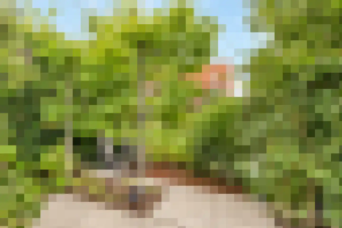 Kers 3 Nijkerk thumbnail 32