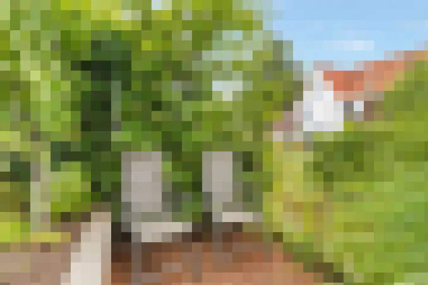 Kers 3 Nijkerk thumbnail 33