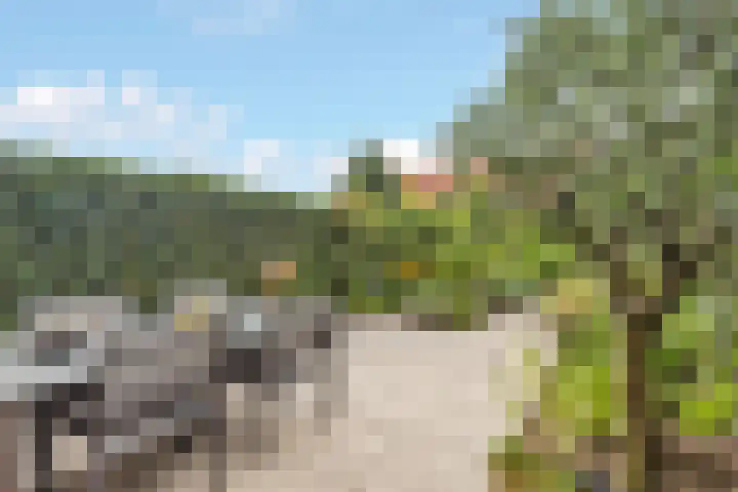 Kers 3 Nijkerk thumbnail 5
