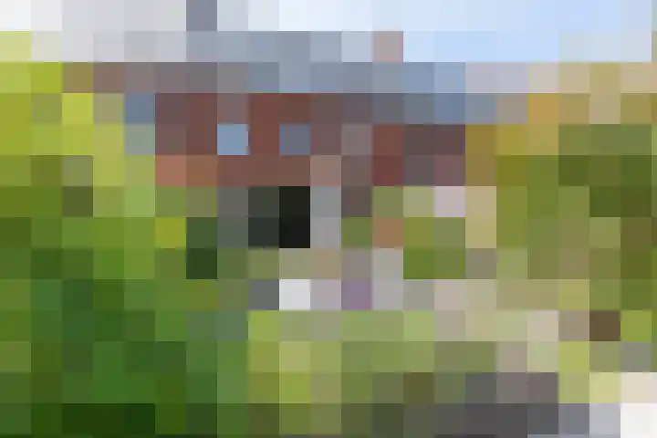 Kersbergenstraat 9 Delft thumbnail 15