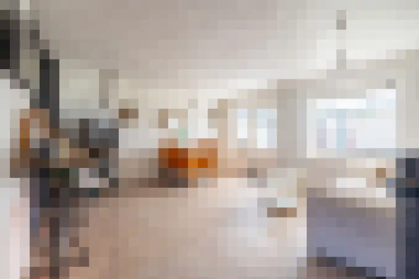 Kersebloesem 86 Doetinchem thumbnail 11