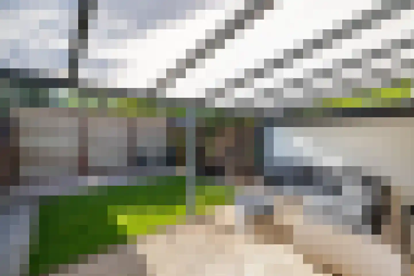 Kersebloesem 86 Doetinchem thumbnail 12