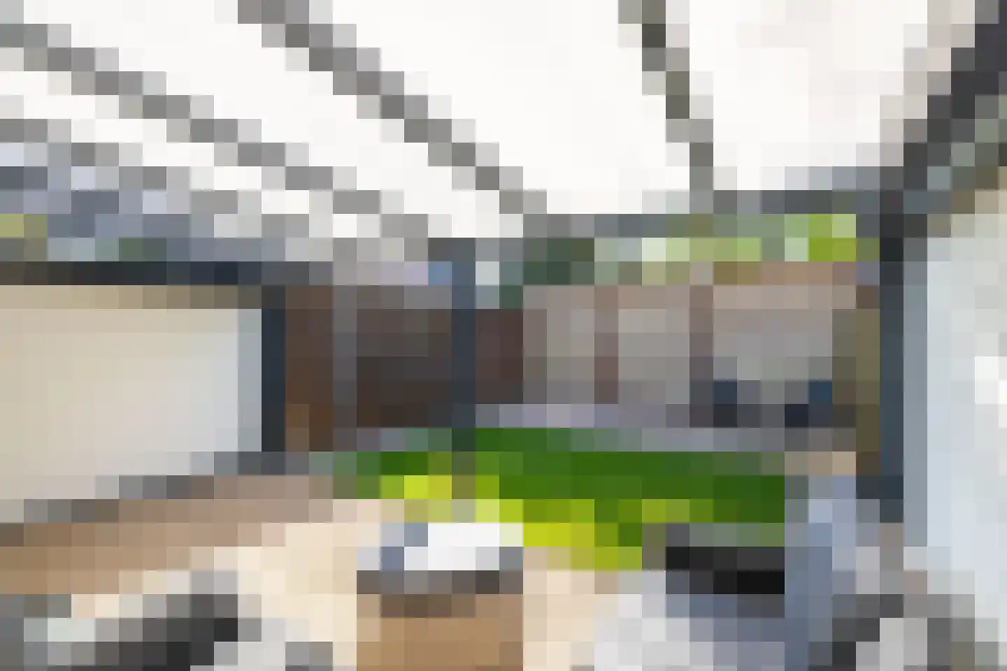 Kersebloesem 86 Doetinchem thumbnail 13