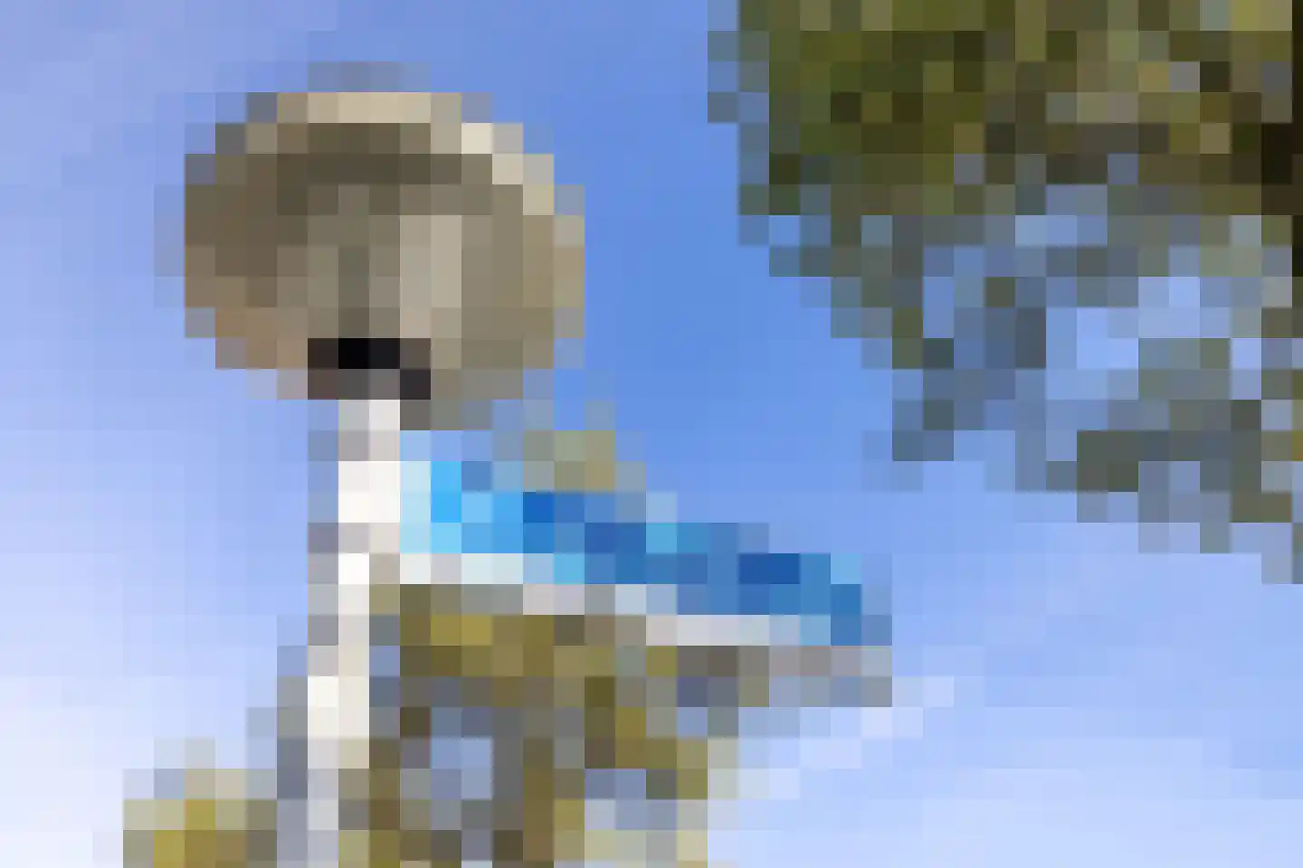 Kersebloesem 86 Doetinchem thumbnail 37