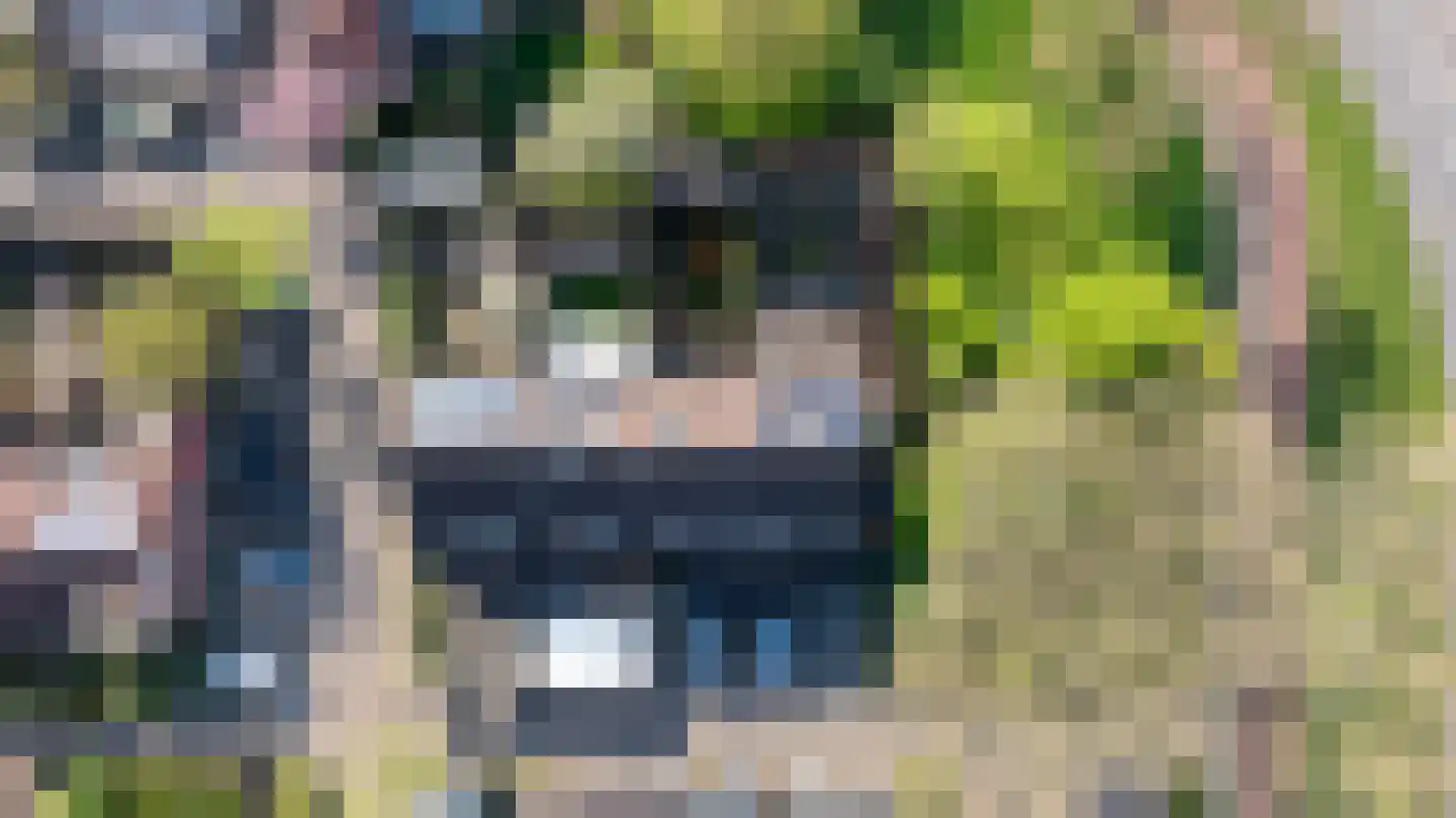 Kersebloesem 86 Doetinchem thumbnail 41