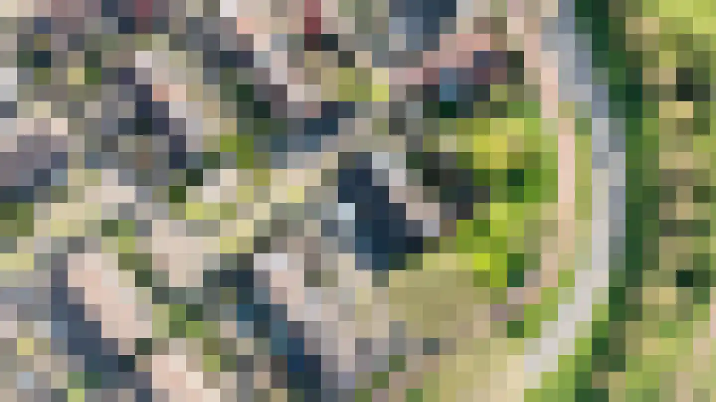 Kersebloesem 86 Doetinchem thumbnail 42