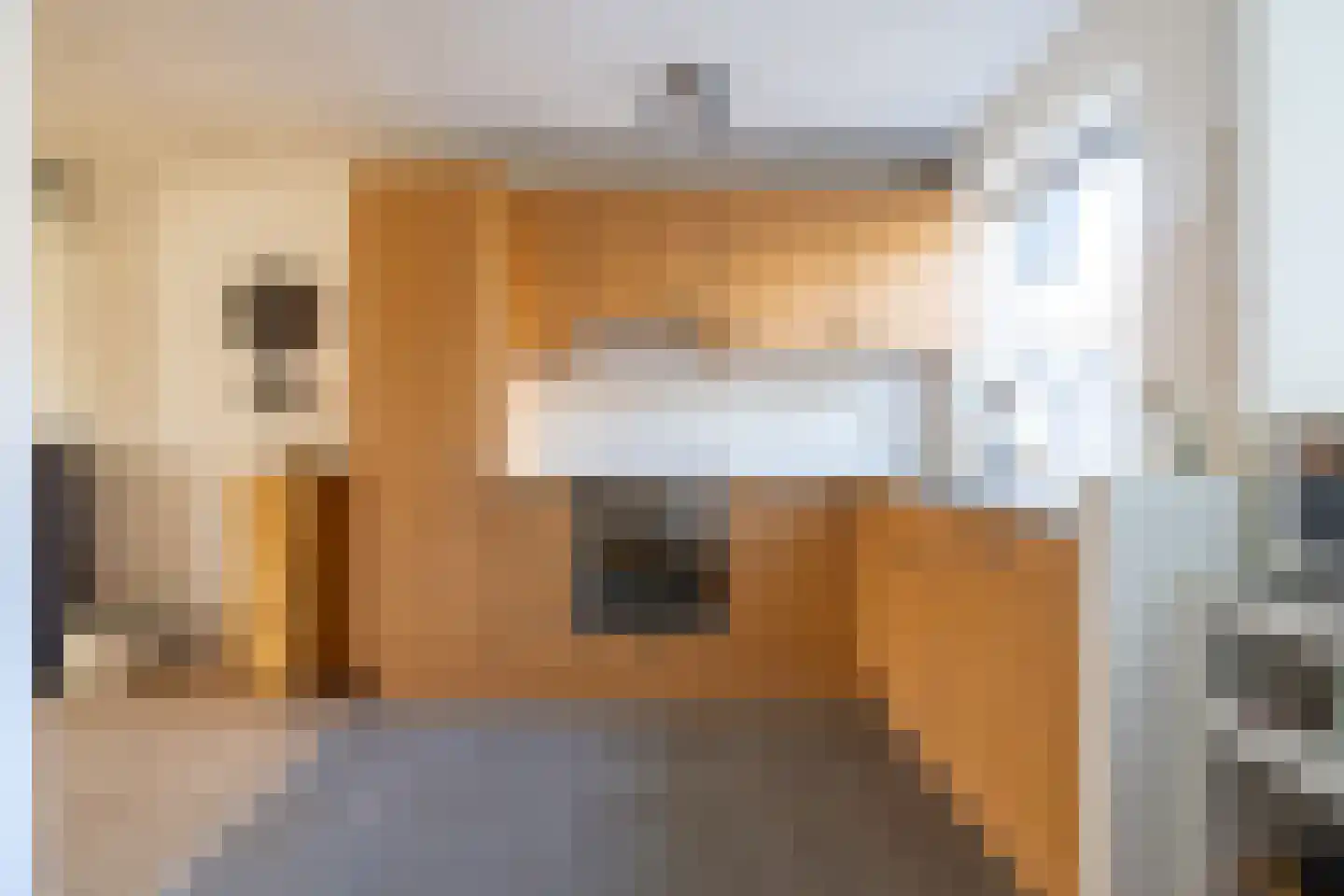 Kersebloesem 86 Doetinchem thumbnail 8