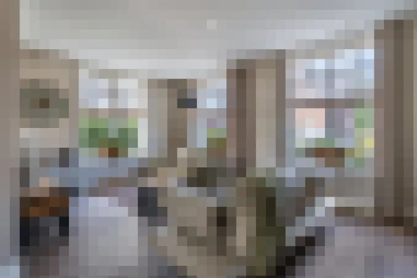 Kersebogerd 6 Well thumbnail 8