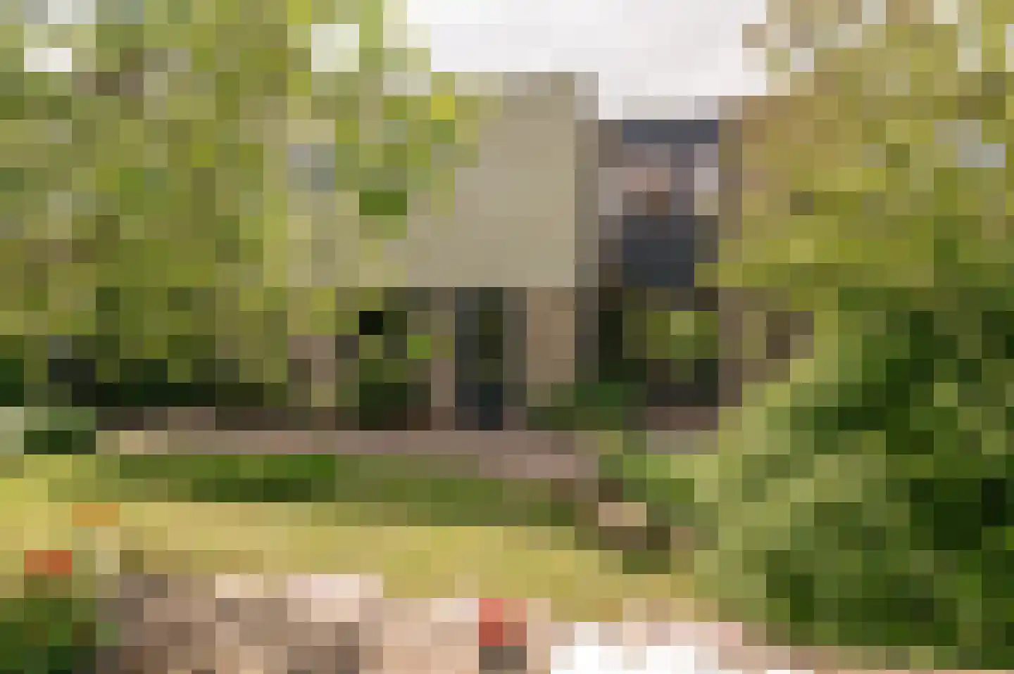 Kerseboom 38 Culemborg thumbnail 33