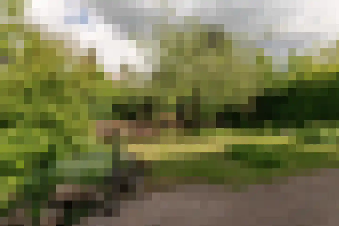 Kerseboom 38 Culemborg thumbnail 35